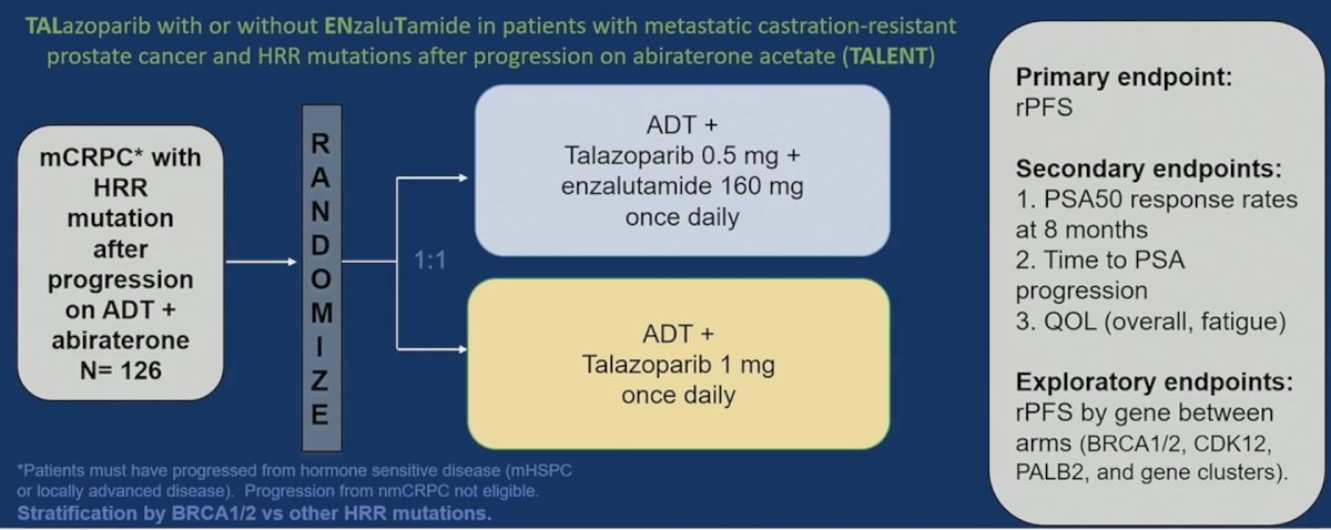 Whether we really need androgen receptor pathway inhibitors in those previously experienced patients will be answered by the ongoing TALENT trial:&nbsp;
