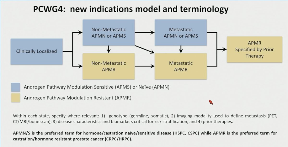 PCWG4 proposes an updated disease state model and terminology that reflects the widespread use of ARPIs and other modern therapies. Rather than relying solely on traditional “hormone-sensitive” and “castration-resistant” labels, the framework introduces androgen pathway modulation–naïve or sensitive (APMN/APMS) and androgen pathway modulation–resistant (APMR) states, applicable to both non-metastatic and metastatic disease. This nomenclature aims to be more biologically and treatment-informed, accounting for prior therapy exposure, imaging modality used to define metastases, and relevant genomic and biomarker features. In this model, APMN/APMS corresponds to hormone/castration-naïve or -sensitive disease, whereas APMR aligns with castration-resistant prostate cancer, providing a more precise and contemporary structure for clinical trial design and reporting.&nbsp;