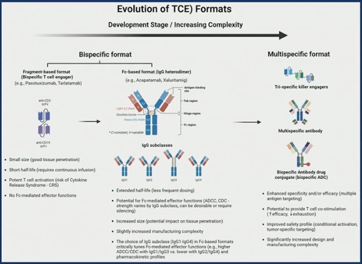 At the same time, important clinical considerations remain, including cytokine release syndrome (CRS), immune-related toxicities, antigen escape, and the influence of the tumor microenvironment. With thoughtful development and optimization, T-cell engagers could meaningfully reshape the immunotherapy landscape in advanced prostate cancer.&nbsp;
