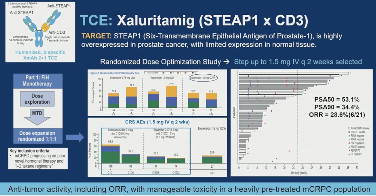 Among the T-cell engagers in development, STEAP1 × CD3 is one of the leading approaches. Xaluritamig is a bispecific antibody targeting STEAP1, which is highly overexpressed in prostate cancer with limited normal tissue expression, and CD3 to recruit T cells directly to the tumor. In heavily pretreated mCRPC, it demonstrated clear antitumor activity, including a PSA50 rate of 53.1%, PSA90 responses, and objective responses by imaging. Cytokine release syndrome was observed, primarily during cycle 1, as expected for this class, but was manageable with step-up dosing and standard supportive measures. Overall, the activity signal, including ORR, supports continued development in this space.