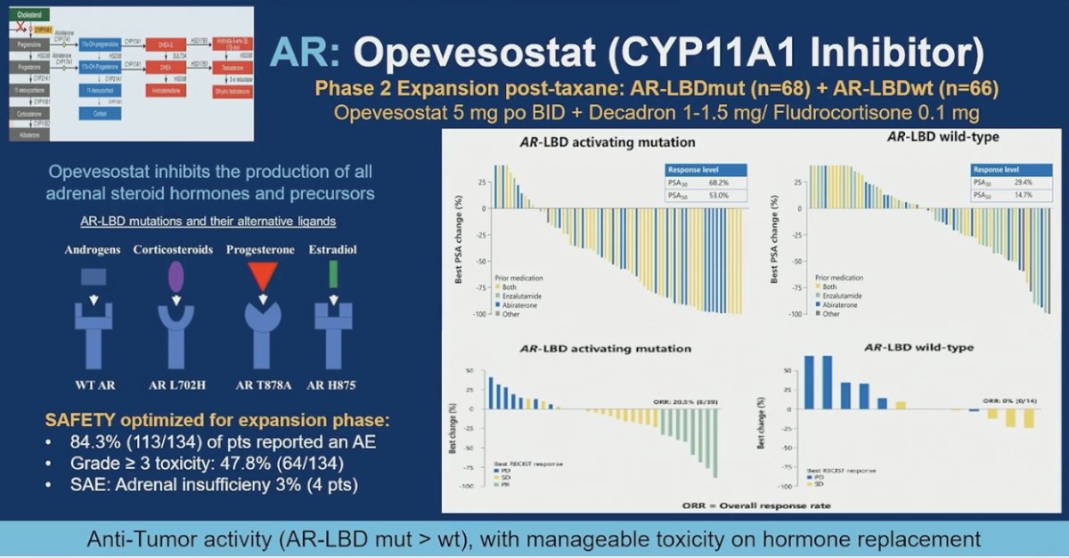 Opevesostat, a CYP11A1 inhibitor, suppresses production of adrenal steroid hormones and precursors and has demonstrated antitumor activity in both AR ligand-binding domain (LBD)–mutant and wild-type mCRPC. In the phase 2 expansion, responses were observed across both molecular subsets, with greater activity in AR-LBD–mutant tumors but meaningful responses also in wild-type disease. In the pre-chemotherapy population, median rPFS was 16.5 months, supporting the population now being evaluated in phase 3. The safety profile was manageable with hormone replacement, and although QTc prolongation was reported, events were controlled with dose modification. Overall, the data support continued development across biomarker-defined and unselected groups.