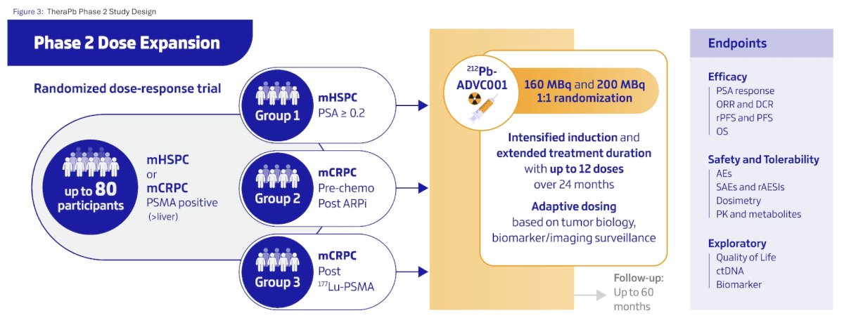 All participants are randomized 1:1 to receive either 160 or 200 MBq of ADVC001. Each participant receives up to 4 doses of ADVC001 as induction therapy. Additional doses may be administered as maintenance therapy for a total of up to 12 doses. ADVC001 is administered according to an adaptive dosing schedule and rules allowing for a treatment pause (‘treatment holiday’) based on response with the possibility of subsequent therapy restarts. All participants continue ADT throughout the study. Group 1 participants receive an ongoing androgen receptor pathway inhibitor as per standard of care, and Group 2 participants are also randomized to receive ADVC001 ± concomitant androgen receptor pathway inhibitor: