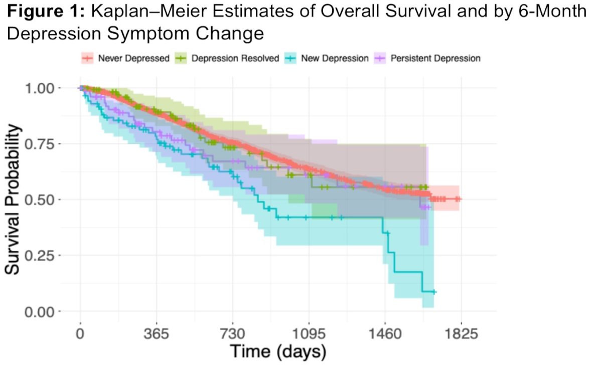 This demonstrates a 35% increased mortality risk with baseline depression and more than twofold increased risk with new-onset depressive symptoms during treatment.