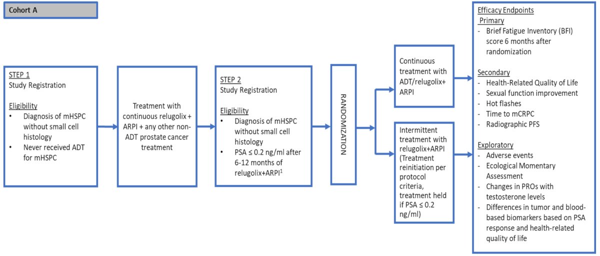 Patients who achieve PSA ≤0.2 ng/mL after 6–12 months of relugolix + ARPI are randomized 1:1 to: