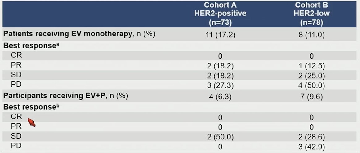 Specific to patients receiving subsequent enfortumab vedotin-based therapy, clinical activity was observed in these patients after discontinuation of disitamab vedotin. For those receiving subsequent enfortumab vedotin monotherapy, 2 of 11 in Cohort A and 1 of 8 in Cohort B achieved a partial response. For those receiving subsequent enfortumab vedotin + pembrolizumab, 2 of 4 in Cohort A and 2 of 7 in Cohort B achieved stable disease:&nbsp;
