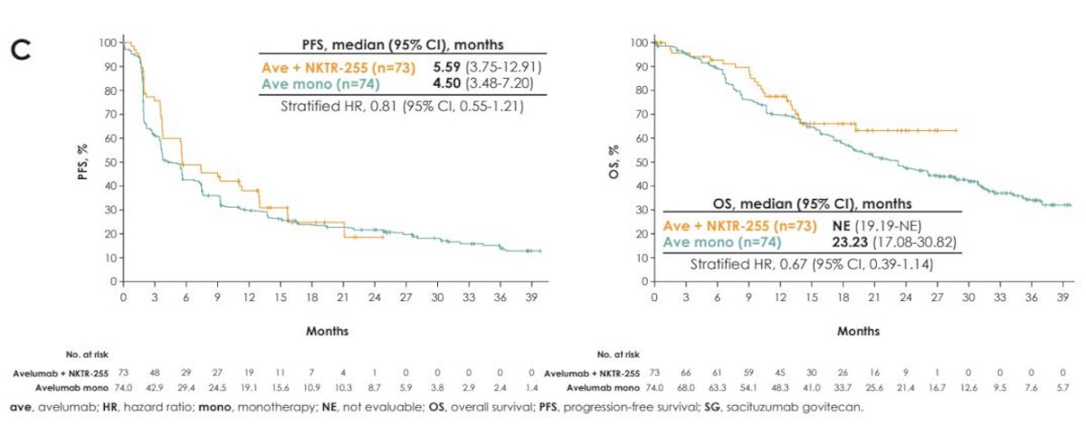 Moreover, in the avelumab plus NKTR-255 arm compared with avelumab monotherapy, median progression-free survival was 5.59 versus 4.50 months (HR 0.81; 95% CI 0.55–1.21). Median overall survival was not reached in the combination arm compared with 23.23 months in the monotherapy arm (HR 0.67; 95% CI 0.39–1.14), indicating a trend toward improved OS with the addition of NKTR-255.