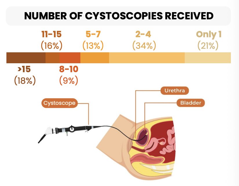 Bladder cancer surveillance remains procedurally intensive. Nearly half of respondents reported undergoing 5 or more cystoscopies, and 17% experienced more than 15 procedures. The burden was particularly pronounced among those with CIS and high-risk NMIBC, consistent with guideline-directed surveillance: