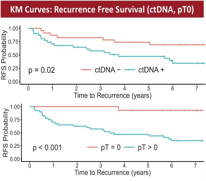 Median recurrence-free survival was not reached versus 4.7 years for ctDNA-negative versus positive patients, respectively (p = 0.02):&nbsp;