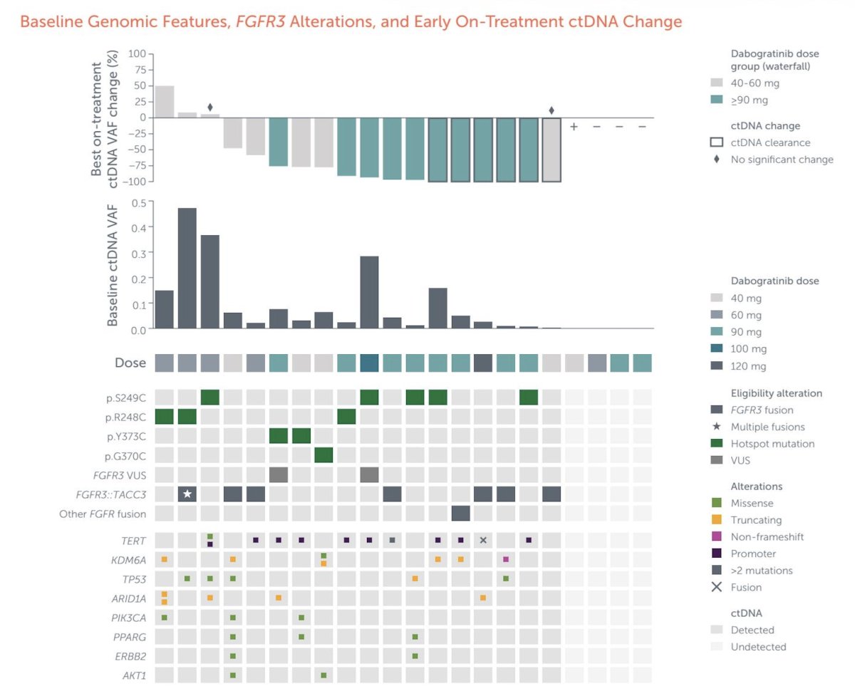 There were 22 metastatic urothelial carcinoma patients that provided blood at baseline and on-treatment. The mean age was 66.7 +/- 8.9 years, and 81.8% had received 2 or more prior lines of therapy. Twelve patients received dabogratinib at ≥ 90mg daily, while 10 received 40-60mg daily. Overall, 18 of 22 patients had ctDNA detected with FGFR3 alterations, including 10 mutations, 7&nbsp;TACC3&nbsp;fusions, and 1 patient with both: