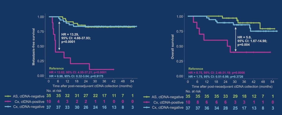 Similar outcomes in ctDNA negative patients were noted regardless of treatment (active surveillance or cystectomy):&nbsp;