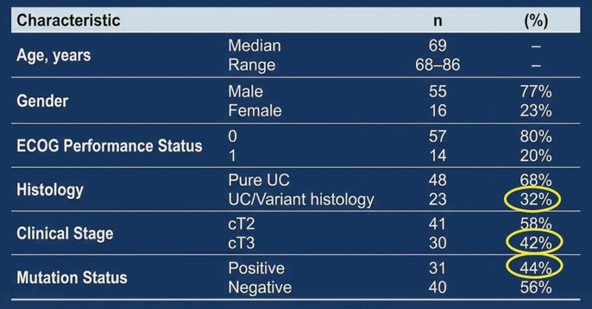 Among 71 evaluable RETAIN-2 patients, the median age was 69 years (range: 68-86), 77% were male, and 42% had cT3 disease: