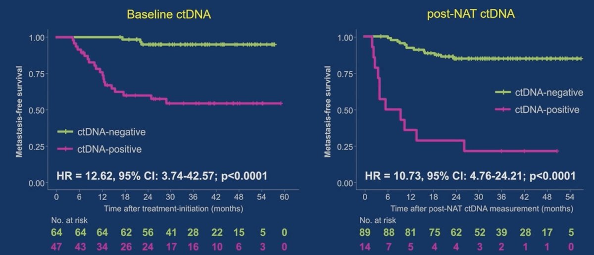 ctDNA positivity at baseline and post-neoadjuvant therapy was strongly prognostic in the overall population: