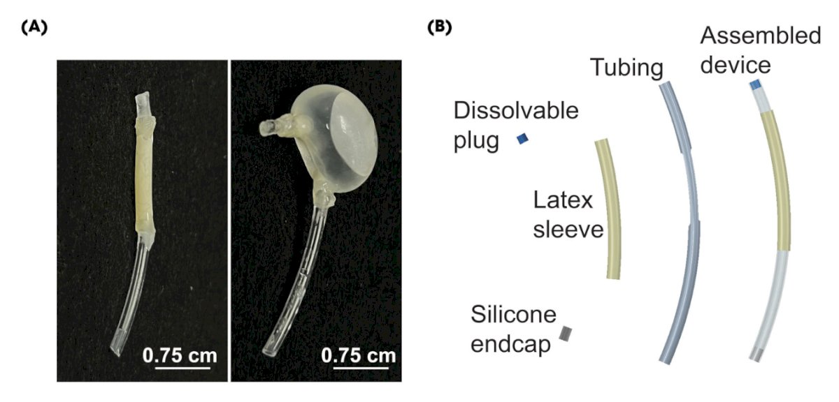 The DRIFT device comprises a 3D-printed tube encased in a latex balloon, capped with a dissolvable polyvinyl acetate/polyvinylpyrrolidone endcap coated in Fluoropel, and a silicone endcap with a suture for patient removal. Device fabrication involved 3D printing, latex molding, and polymer coating. The procedure involves instilling intravesical gemcitabine through a 14-French catheter, followed by insertion of the deflated DRIFT device, which is then inflated with docetaxel and air to ensure buoyancy. After catheter removal, gemcitabine dwells temporarily and is subsequently voided, while the DRIFT device remains in the bladder, releasing docetaxel in a controlled, delayed fashion: