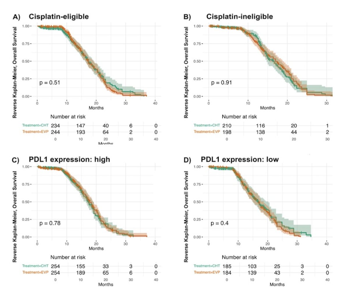 Reverse Kaplan Meier analysis for subgroups also revealed comparable censoring patterns between the enfortumab vedotin + pembrolizumab and chemotherapy treatment arms in all subgroups: