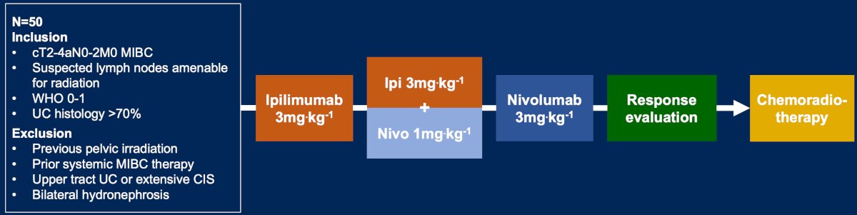 &nbsp;Indi-Blade is a multicenter, single-arm, phase-II trial, enrolling cT2-4aN0-2 muscle-invasive bladder cancer patients. Treatment consists of ipilimumab 3 mg/kg (day 1), ipilimumab 3 mg/kg + nivolumab 1 mg/kg (day 22) and nivolumab 3 mg/kg (day 43), followed by standard of care chemoradiotherapy using mitomycin C and fluoropyrimidines, 5FU or capecitabine: