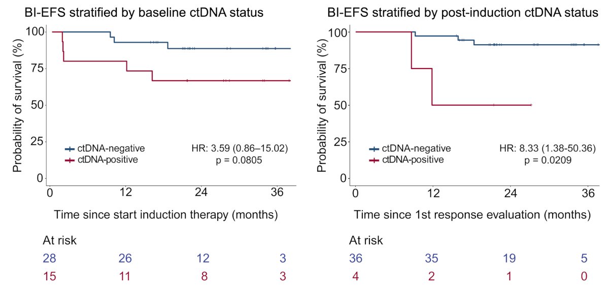 ctDNA positive status was associated with shorter bladder intact event-free survival compared to ctDNA negatives at both baseline (HR&nbsp;3.59, 95% CI 0.86-15.02;&nbsp;p =&nbsp;0.08) and after induction immune checkpoint inhibition (HR&nbsp;8.33, 95% CI 1.38-50.36;&nbsp;p =&nbsp;0.02):&nbsp;