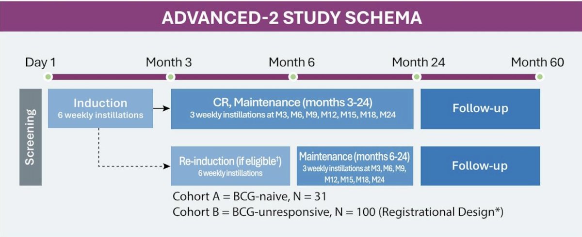 The ADVANCED-2 study includes 2 cohorts of BCG-naïve (Cohort A) and BCG-unresponsive (Cohort B) participants. Key exclusion criteria include penicillin allergy, history of ≥ T2 bladder cancer, nodal, or metastatic disease, and concomitant prostatic or upper tract urothelial involvement. Each participant is treated with TARA-002 to receive induction (6 weekly doses), reinduction (if persistent disease at 3 months), and maintenance (through 24 months). Response is assessed every 3 months for 2 years. Long-term follow-up is conducted up to 60 months, and safety is monitored throughout the study:&nbsp;