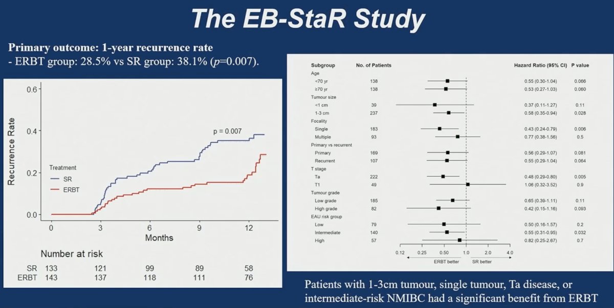 The primary endpoint was 1-year recurrence. Patients treated with ERBT experienced significantly lower recurrence rates compared with standard resection (28.5% vs 38.1%, p = 0.007). Subgroup analyses suggested that certain patients derived particular benefit from ERBT, including those with tumors measuring 1–3 cm, solitary tumors, Ta disease, and intermediate-risk NMIBC.