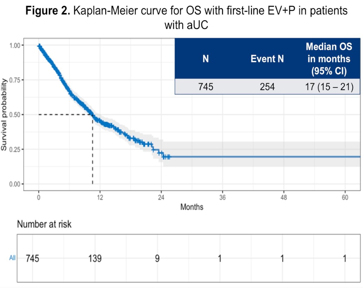 At a median follow-up of 10.3 months, 254 patients (34%) had died. The Kaplan–Meier analysis demonstrated a median overall survival of 17 months (95% CI 15–21 months) among patients treated with first-line EV+P. The corresponding Kaplan–Meier survival curve demonstrated a rapid early decline in survival probability during the first year after treatment initiation, followed by a more gradual plateau thereafter.