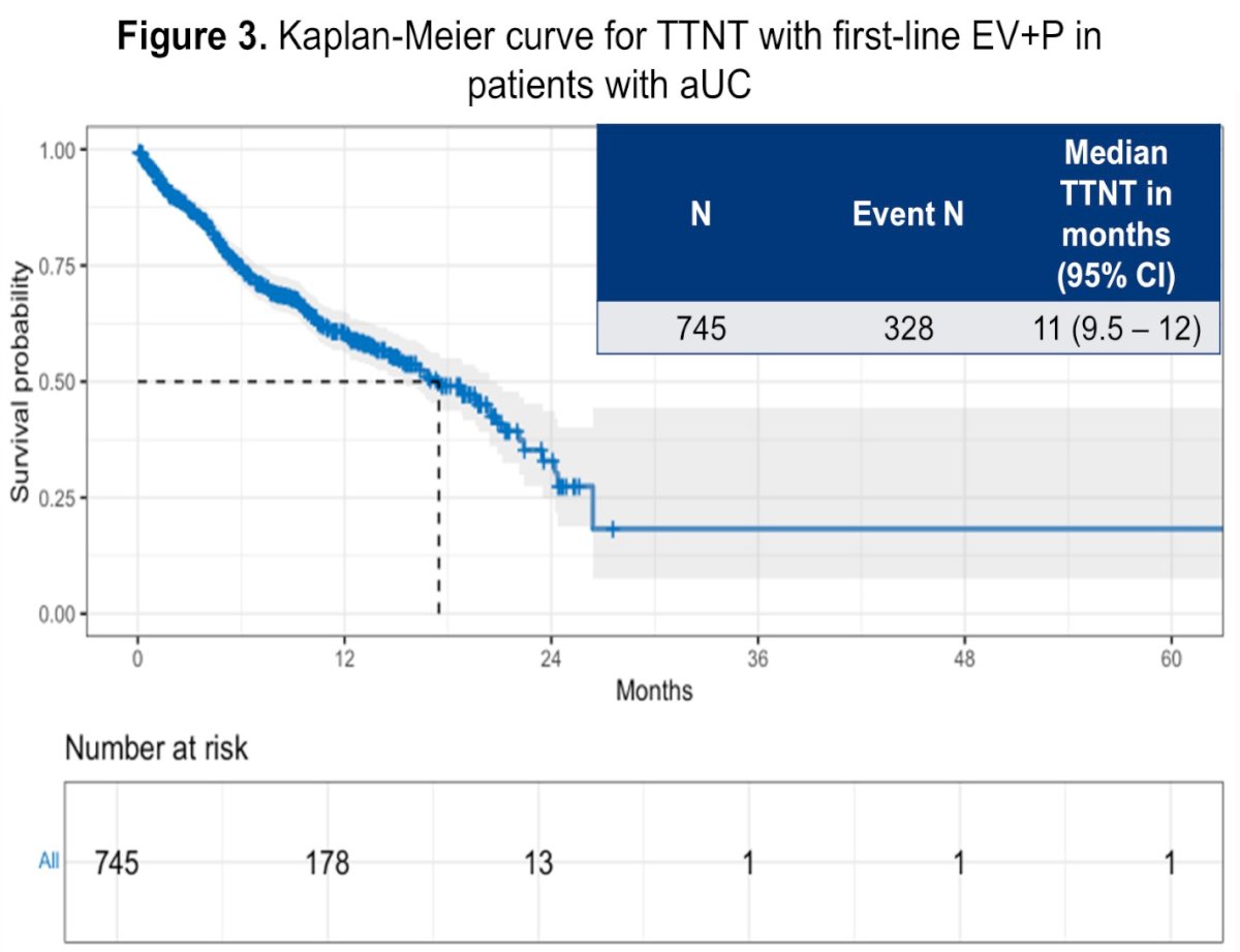 Time-to-next-therapy outcomes were also evaluated. The median TTNT was 11 months (95% CI 9.5–12 months), with 328 events observed (44%). The Kaplan–Meier TTNT curve demonstrated a similar early decline, reflecting transition to subsequent therapy or death within the first year of treatment for a substantial proportion of patients.&nbsp;