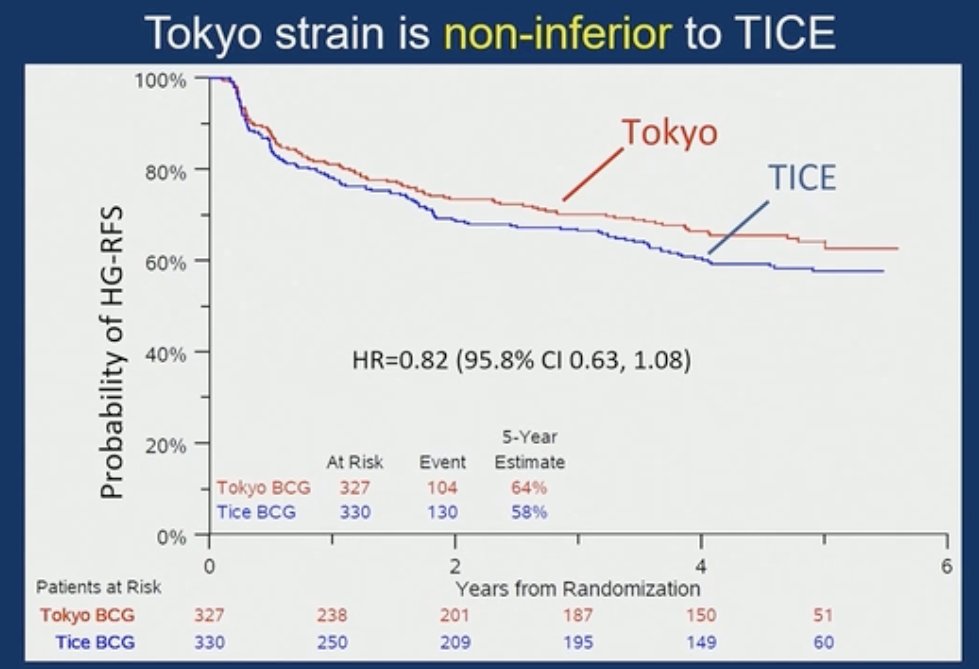 In the overall cohort, the Tokyo strain was shown to be non-inferior to TICE (HR for HG-RFS: 0.82, 95.8% CI: 0.63–1.08).&nbsp;