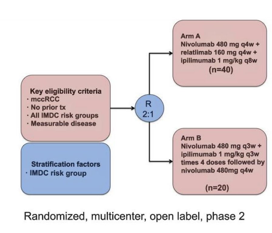 This is a phase 2 randomized, multicenter, study investigating the efficacy of nivolumab 480 mg every 4 weeks (Q4W), relatlimab 160 mg Q4W and ipilimumab 1 mg/kg every 8 weeks (Q8W) IV versus a doublet arm treating with nivolumab 480 mg Q3W and ipilimumab 1mg/kg Q3W IV followed by maintenance nivolumab in first-line advanced clear cell RCC.:&nbsp;
