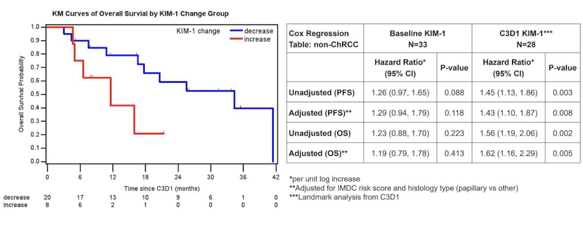 Higher KIM-1 at baseline was associated with worse IMDC risk score (Spearman rho = 0.37, p = 0.015). Among non-chromophobe RCC patients with paired samples (n = 28), KIM-1 at C3D1 was significantly lower compared to baseline (median: 2,900 versus 1,232 pg/mL, Wilcoxon paired test, p = 0.002) and was strongly prognostic for progression-free survival and overall survival after adjustment for IMDC risk and histology: