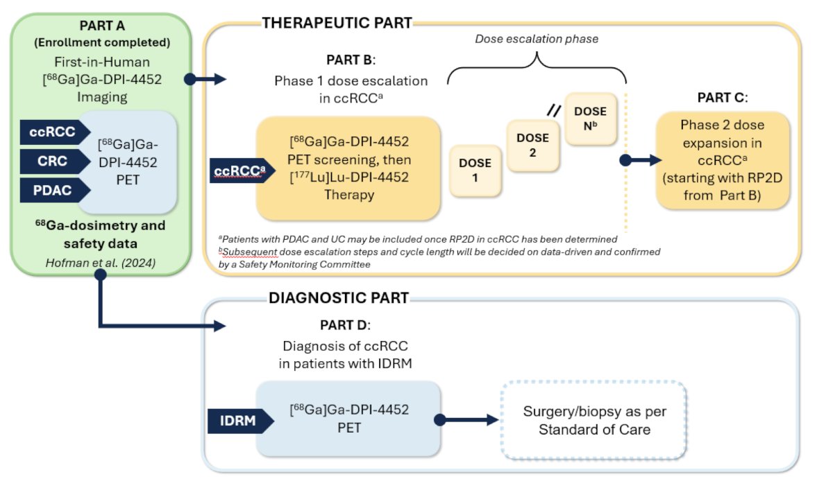 Theranostics is defined as diagnostics and therapy based on the same molecular target, and Dr. Hofman and his team are currently working on phase 1 assessments of 177Lu-CA-IX peptide in patients with metastatic RCC as part of the following clinical trial: