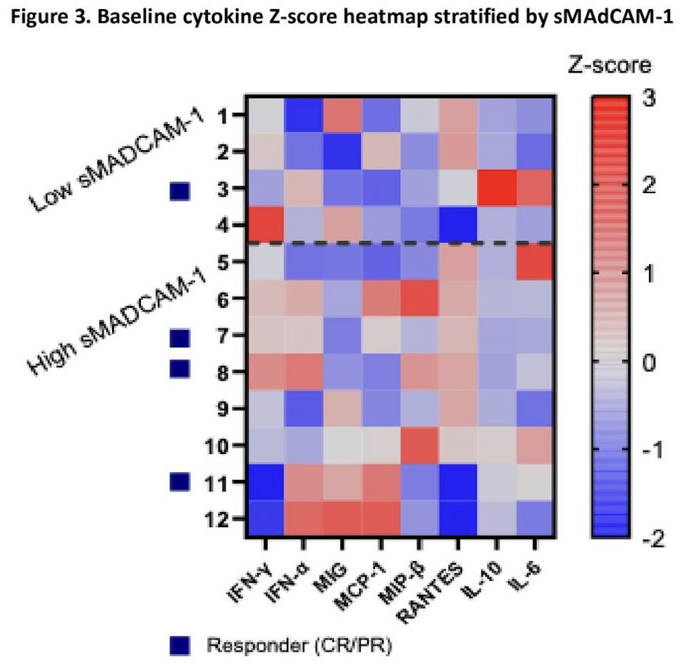 Baseline cytokine profiles demonstrated inter-patient heterogeneity across both low and high sMAdCAM-1 groups, without a clear or consistent cytokine pattern distinguishing groups:
