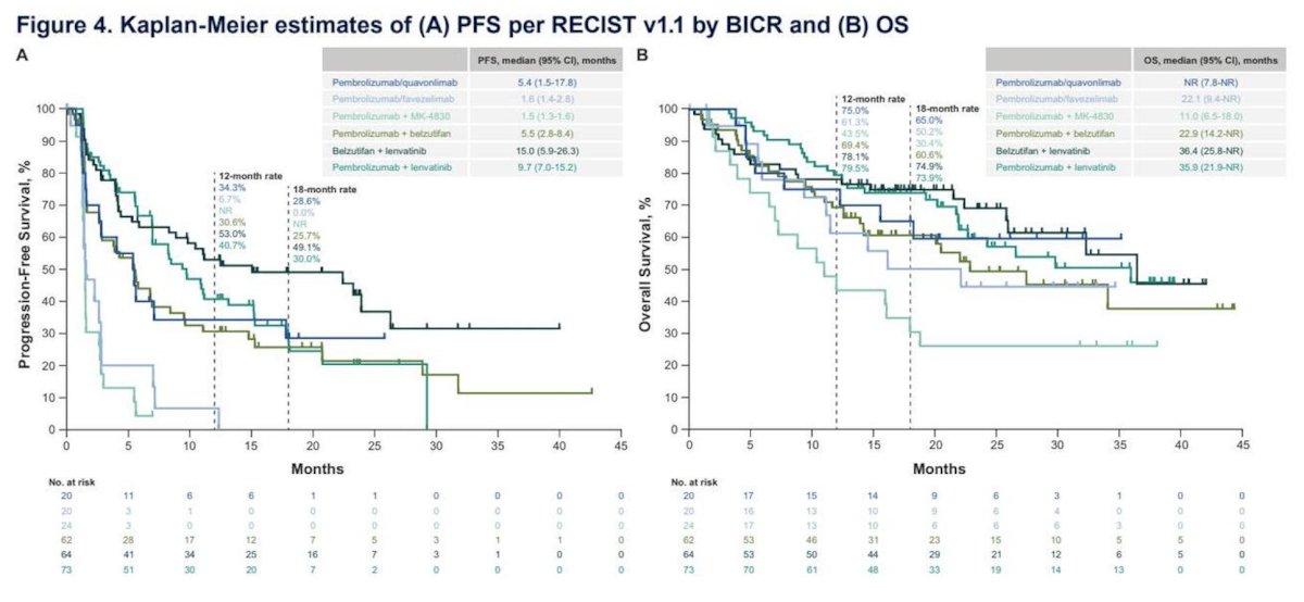 Moreover, across these groups, the median progression-free survival ranged from 1.5 to 15.0 months, and the median overall survival ranged from 11.0-not reached: