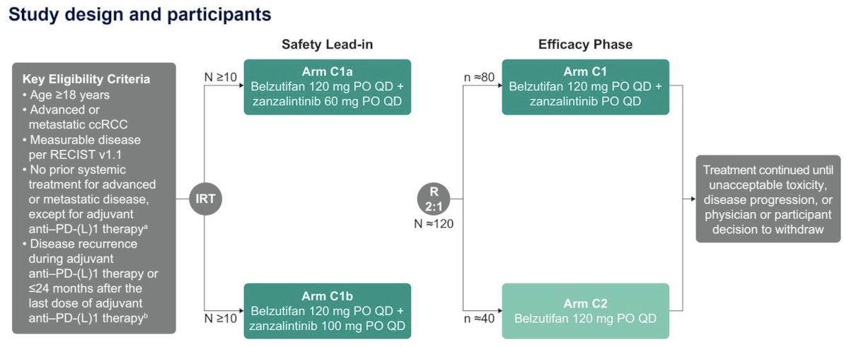 Treatment will consist of belzutifan plus zanzalintinib (arm C1) or belzutifan monotherapy (arm C2). Additional treatment arms may be added on a rolling basis. In the safety lead-in phase, at least 10 participants will receive belzutifan 120 mg orally once daily plus zanzalintinib 60 mg (arm C1a) or 100 mg (arm C1b) orally once daily. The primary objective of the safety lead-in phase is to establish the recommended phase 2 dose. In the efficacy phase, approximately 120 participants will be randomly assigned 2:1 to receive belzutifan plus zanzalintinib at the recommended phase 2 dose or belzutifan 120 mg orally once daily:&nbsp;