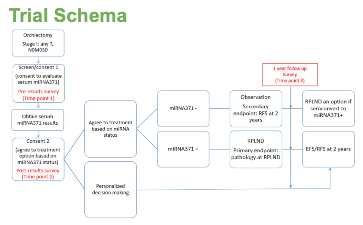 Is miR-371 ready for use in interventional trials? Dr. Funt says yes, particularly based on the CLIMATE results, noting plasma post-orchiectomy miR-371 positivity correlated strongly with 2-year recurrence-free survival. One specific intervention trial is the CLARITY trial, with the following trial schema: