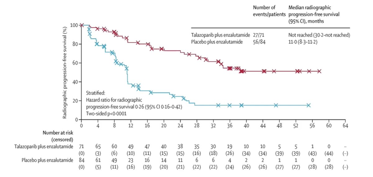 TALAPRO-2 assessed talazoparib + enzalutamide versus placebo + enzalutamide in patients with androgen receptor pathway inhibitor naïve BRCA mutated mCRPC, noting a median radiographic progression of not reached versus 11.0 months, respectively (HR 0.26, 95% CI 0.16-0.42):