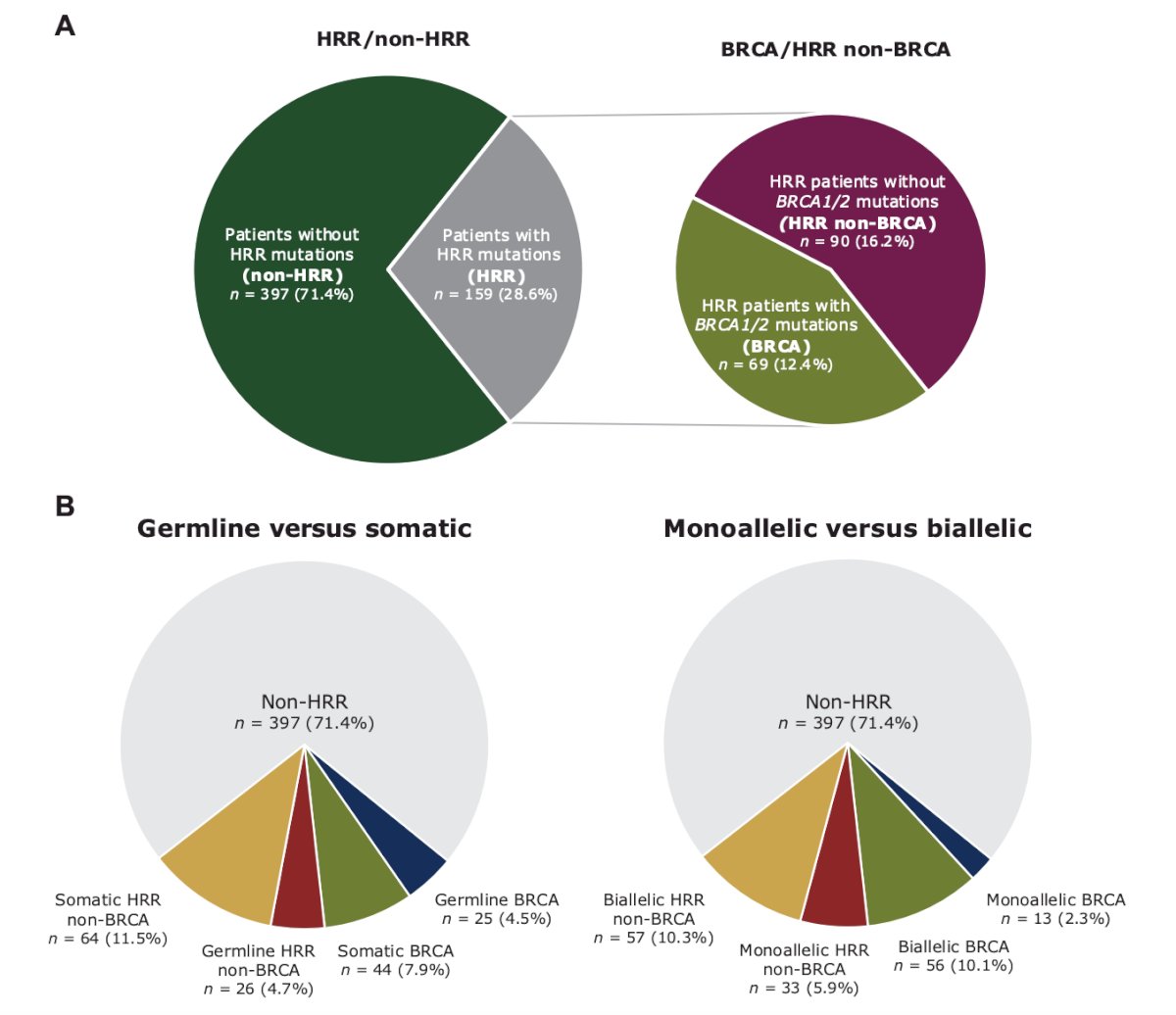 In 2025, Olmos and colleagues reported outcomes of patients with BRCA1/2 and HRR alterations in high and low volume metastatic hormone-sensitive prostate cancer (mHSPC) [2]. Of 556 patients, 159 (28.6%) had HRR gene alterations: 69 (12.4%) with BRCA and 90 (16.2%) with HRR non-BRCA mutations. mHSPC was synchronous in 451 patients (81.1%) and was classified as high-volume (CHAARTED criteria) in 306 (55%) patients:&nbsp;