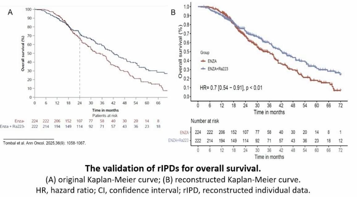 The 446 individual patient data were reconstructed, and validation confirmed consistency with the original trial (consistency test: z = 0.04, p = 0.97):