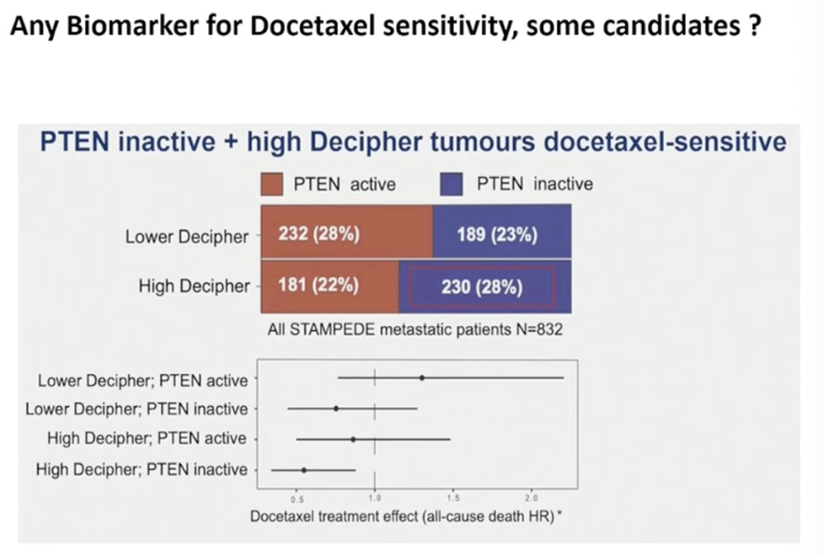 There are emerging efforts to identify biomarkers that may predict sensitivity to docetaxel. Data from translational analyses suggest that tumors with PTEN loss combined with a high Decipher genomic score may be more sensitive to docetaxel. In analyses of metastatic patients from the STAMPEDE dataset, this molecular profile appeared to identify a subgroup with greater benefit from docetaxel, highlighting the potential for biomarker-guided treatment selection in the future.