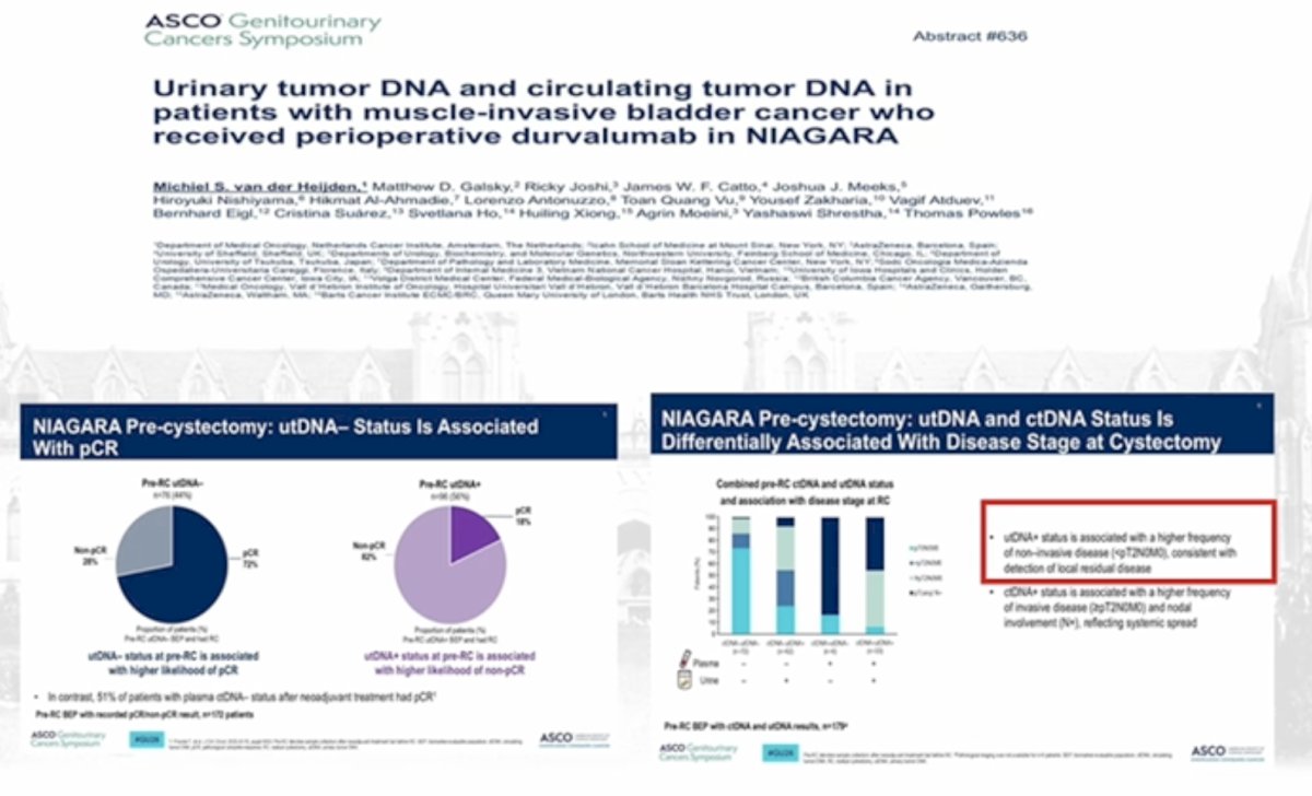 Pre-cystectomy utDNA status demonstrated a strong correlation with pathologic complete response. Patients who were utDNA- prior to surgery exhibited significantly higher rates of pCR compared to utDNA+ patients. In contrast, utDNA positivity was associated with persistent residual disease at cystectomy. Additional analyses demonstrated that utDNA and ctDNA appear to reflect different biological processes. UTDNA positivity was associated with a higher likelihood of residual intravesical disease, consistent with detection of tumor DNA shed locally within the bladder. By contrast, ctDNA positivity was associated with higher rates of nodal involvement and more advanced disease stage at cystectomy, suggesting that ctDNA reflects systemic tumor dissemination.
