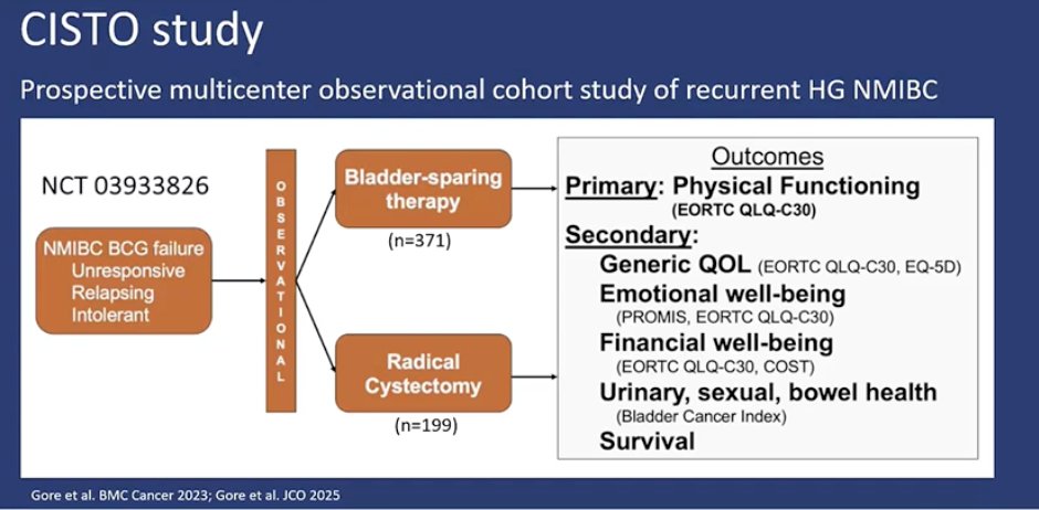 He noted that these recommendations are largely based on oncologic outcomes; however, the CISTO study evaluated this question from the patient’s perspective. CISTO was a prospective, multicenter observational cohort study that enrolled patients with recurrent high-grade NMIBC after BCG failure, including those who were BCG-unresponsive, relapsing, or intolerant. Patients underwent either bladder-sparing therapy or radical cystectomy according to real-world clinical decision-making. The primary endpoint was physical functioning measured by the EORTC QLQ-C30, while secondary endpoints included overall quality of life, emotional well-being, financial toxicity, urinary, sexual, and bowel health, as well as survival outcomes.1 The study design is highlighted below.