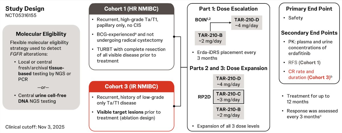  All patients had&nbsp;FGFR&nbsp;alterations&nbsp;by urine and/or tissue testing. There were 3 different erdafitinib release rates evaluated. The primary end point was safety, and secondary end points included recurrence free survival in cohort 1 and complete response rate and duration of complete response in cohort 3 (complete response was defined as absence of malignant tumors by cystoscopy with negative urine cytology). Response was assessed every 3 months with continued treatment for up to 1 year if recurrence free (cohort 1) or in complete response (cohort 3):&nbsp;