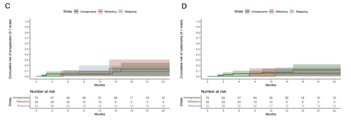 At 12 months, the cumulative recurrence risk was 28% for BCG-unresponsive, 34% for BCG-refractory, and 18% for BCG-relapsing disease. High grade-recurrence risks were 25%, 31%, and 15%, respectively (all p < 0.05), and progression risk and cystectomy rates remained <10% across groups:&nbsp;