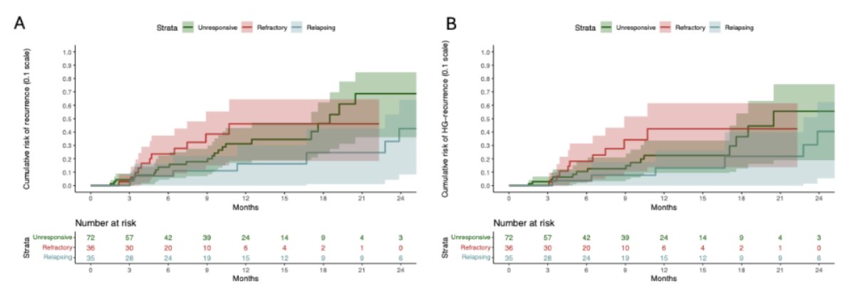 On multivariable analysis, BCG-relapsing disease was associated with lower recurrence risk versus BCG-unresponsive disease (HR 0.40, 95% CI 0.16–0.97; p = 0.042), but not with high-grade recurrence (HR 0.48, 95% CI 0.18–1.27; p = 0.14):&nbsp;