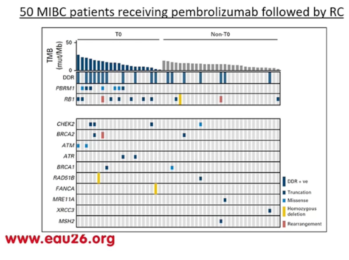 Dr. Teoh also highlighted the ongoing need to better identify predictive biomarkers that can help select patients most likely to respond to systemic therapy. He referenced the phase II PURE-01 study evaluating neoadjuvant pembrolizumab prior to radical cystectomy in 50 patients with MIBC. Although relatively small, this study provided important insights into potential molecular predictors of response, including tumor mutational burden and alterations in DNA damage response genes. These findings suggest that biomarker-driven patient selection may help refine bladder-preserving and systemic treatment strategies in the future, though further validation in larger cohorts is still needed.5