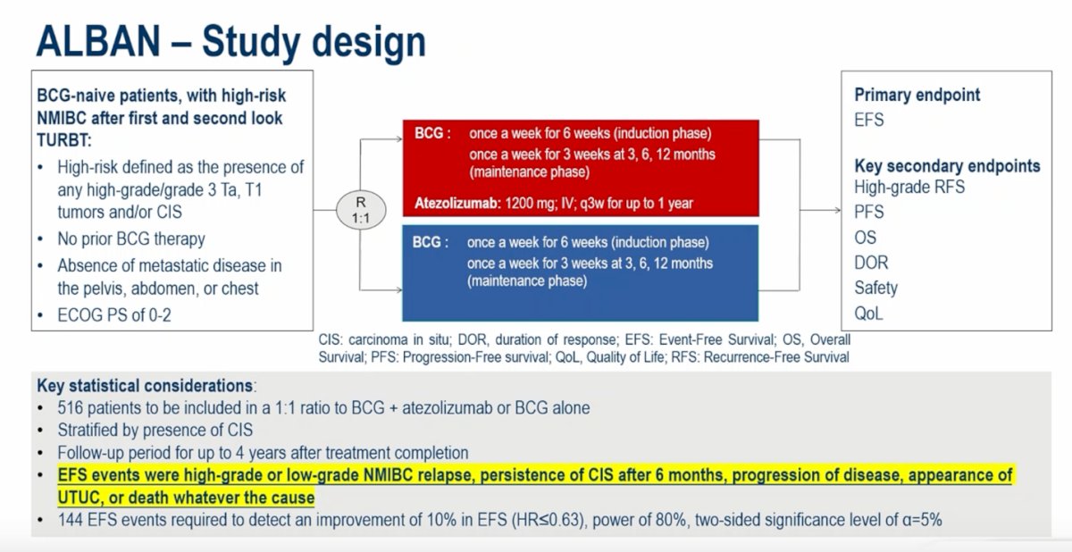 From a statistical standpoint, the trial planned to enroll 516 patients randomized in a 1:1 ratio to receive BCG plus atezolizumab or BCG alone, with stratification according to the presence of CIS. Patients were followed for up to four years after treatment completion. Event-free survival was the primary endpoint, with events defined broadly and including high-grade or low-grade NMIBC recurrence, persistence of CIS at six months, disease progression, development of upper tract urothelial carcinoma, or death from any cause. A total of 144 EFS events were required to detect an absolute improvement of 10% in EFS (HR ≤0.63), providing 80% power with a two-sided alpha level of 5%.