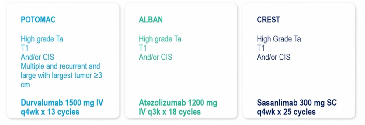 Dr. Rouprêt also compared the three trials and highlighted important differences in treatment exposure and duration of systemic therapy. In POTOMAC, durvalumab was administered at 1500 mg IV every 4 weeks for 13 cycles (approximately 1 year). In ALBAN, atezolizumab was given at 1200 mg IV every 3 weeks for up to 18 cycles. In contrast, the CREST trial evaluated sasanlimab 300 mg administered subcutaneously every 4 weeks for 25 cycles, resulting in a longer duration of treatment exposure compared with the other studies.&nbsp;