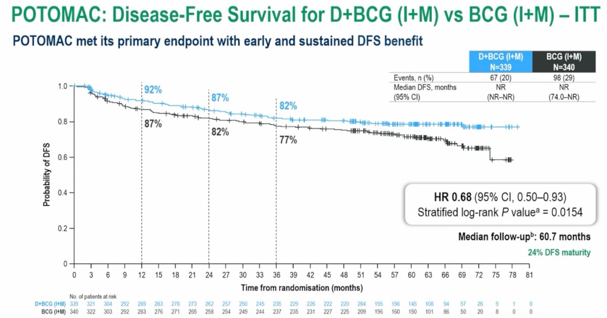 The POTOMAC trial met its primary endpoint, demonstrating a significant improvement in disease-free survival with the combination of durvalumab plus BCG induction and maintenance compared with BCG induction and maintenance alone. With a median follow-up of nearly 61 months, the addition of durvalumab reduced the risk of recurrence or progression by 32% (HR 0.68, 95% CI 0.50–0.93; p=0.0154). The benefit emerged early and was sustained over time, supporting the potential role of this combination strategy in patients with BCG-naive high-risk NMIBC.