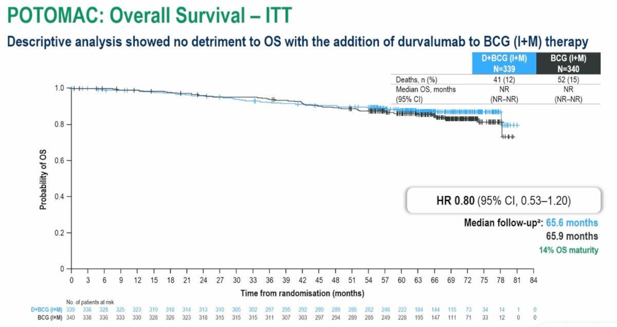 Overall survival was a secondary endpoint in the POTOMAC trial. At the time of this analysis, the data remain immature; however, a descriptive analysis showed no detriment to overall survival with the addition of durvalumab to BCG induction and maintenance therapy. With a median follow-up of approximately 66 months, the hazard ratio for overall survival was 0.80 (95% CI 0.53–1.20), although this data is still lacking maturity.