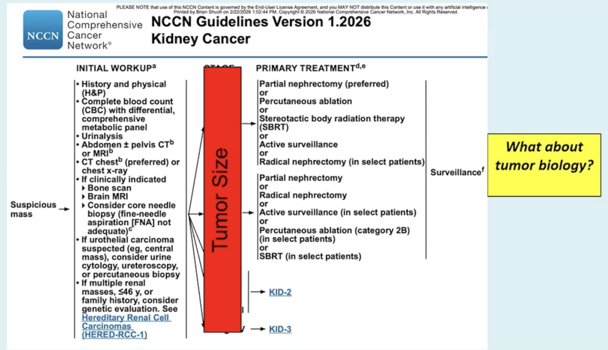 According to Dr. Shuch, the NCCN Guidelines Version 1.2026 for Kidney Cancer come down to tumor size and whether the patient is a surveillance candidate based on tumor biology:&nbsp;