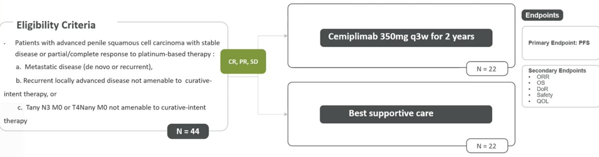 The BRAVA trial in Brazil, led by Dr. Maluf, is a phase II randomized trial of maintenance cemiplimab versus best standard of care in patients with metastatic/recurrent penile squamous cell carcinoma who had controlled disease on first-line platinum-based chemotherapy. There will be 44 patients randomized with a primary endpoint of progression-free survival: