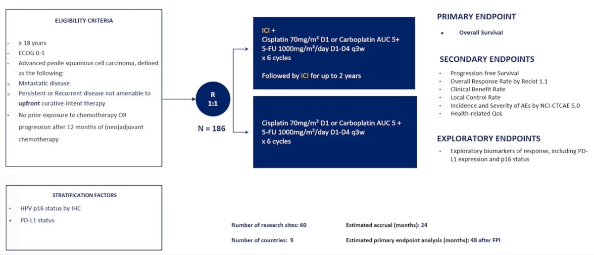 The Desired Trial is a global HERCULES II study whereby immune checkpoint inhibitors will be combined with platinum-based chemotherapy versus platinum-based chemotherapy alone as first-line systemic therapy in advanced penile cancer (PI: Dr. Maluf). HERCULES II will randomize 186 patients with a primary endpoint of overall survival: