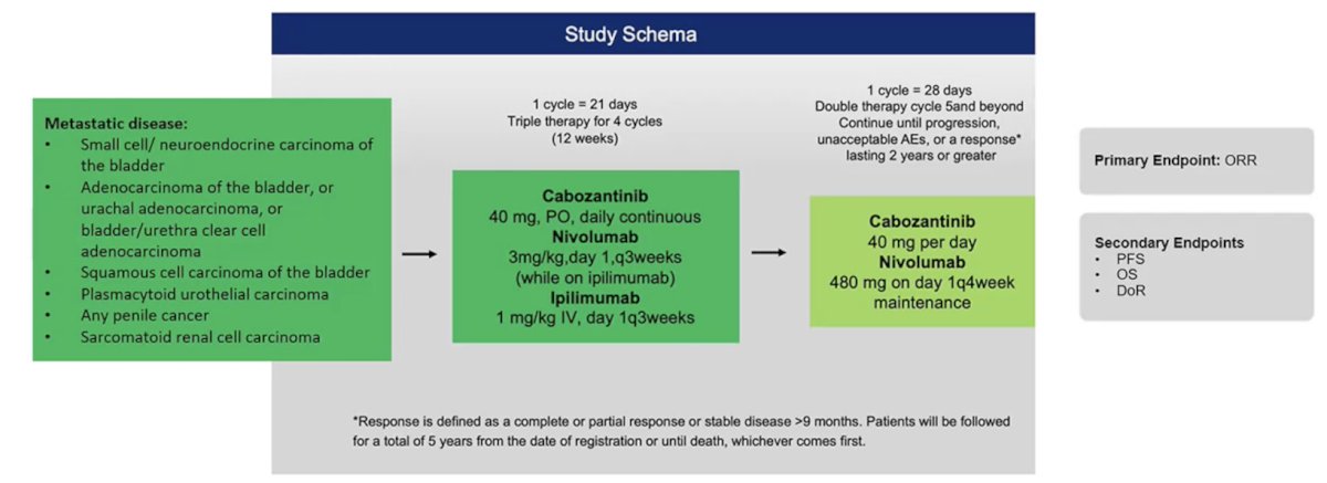Another basket trial is assessing the effectiveness of two immunotherapy drugs (nivolumab + ipilimumab) with an anti-cancer targeted drug (ie. cabozantinib) for rare genitourinary tumors. Inclusion includes metastatic small cell/neuroendocrine, adenocarcinoma, squamous cell carcinoma and plasmacytoid of the urinary tract, any penile cancer, and sarcomatoid renal cell carcinoma. The primary endpoint is objective response rate:
